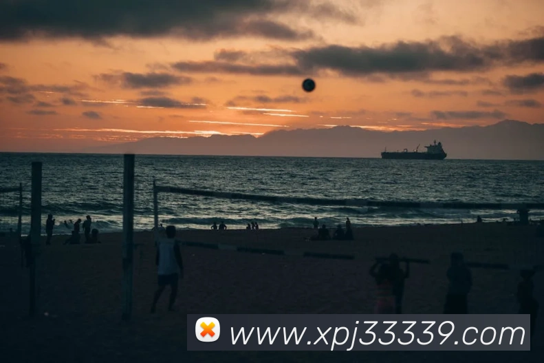 澳门新葡京网站入口服务体系